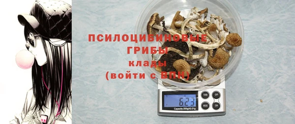 ALPHA-PVP Новодвинск