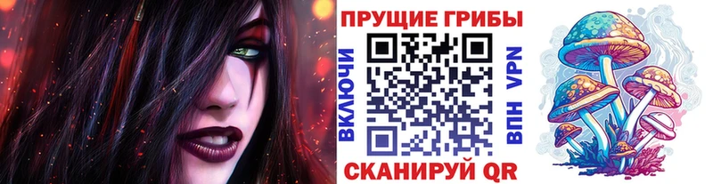Галлюциногенные грибы Psilocybine cubensis  закладки  Отрадное 